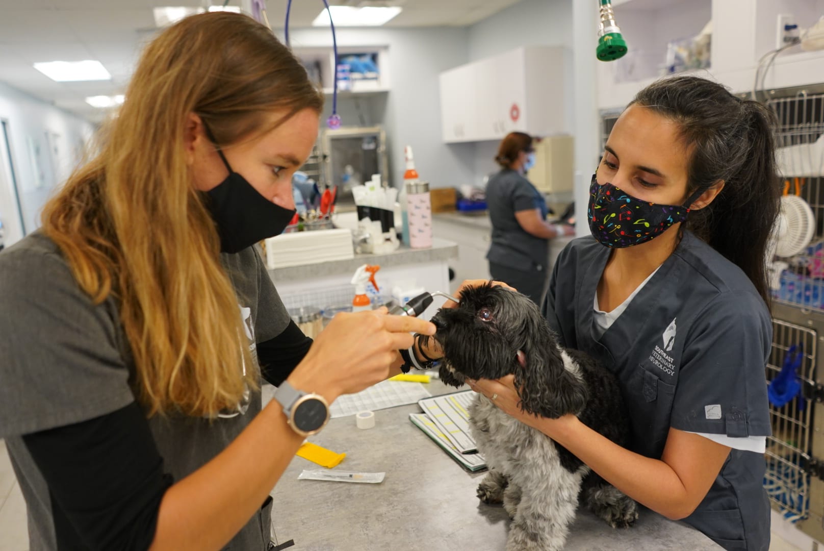 Dr. Fitz and Mavy conducting a Neuro Exam on Brinkley