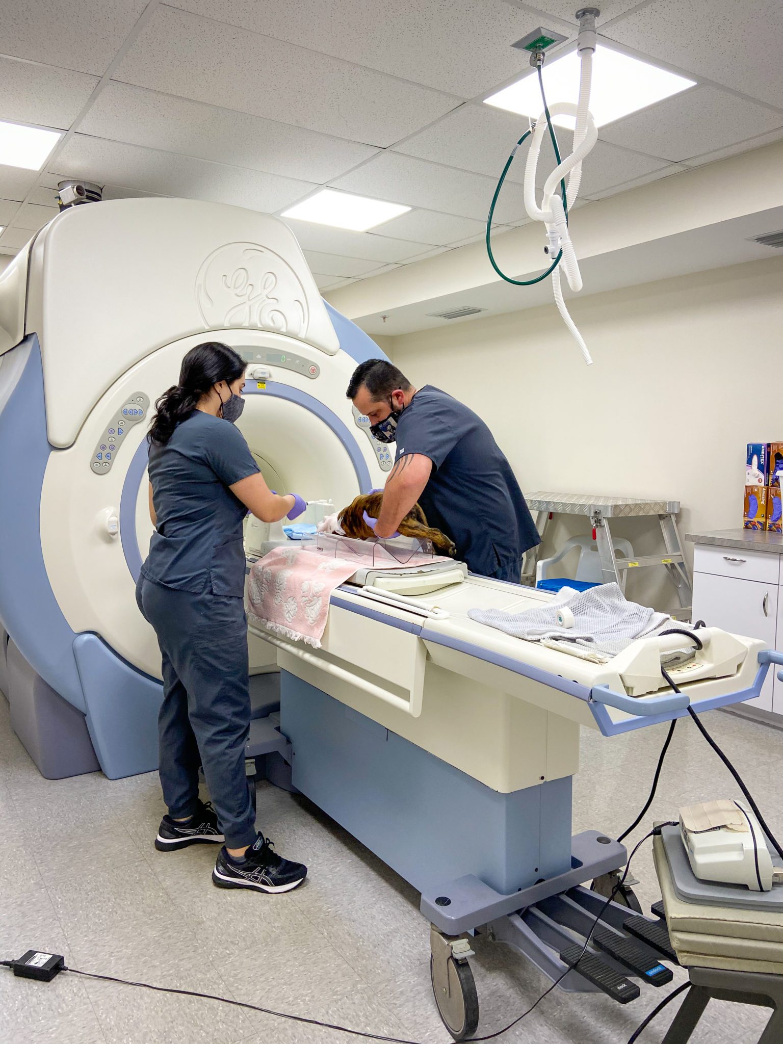 SEVN specialty vet techs setting up MRI