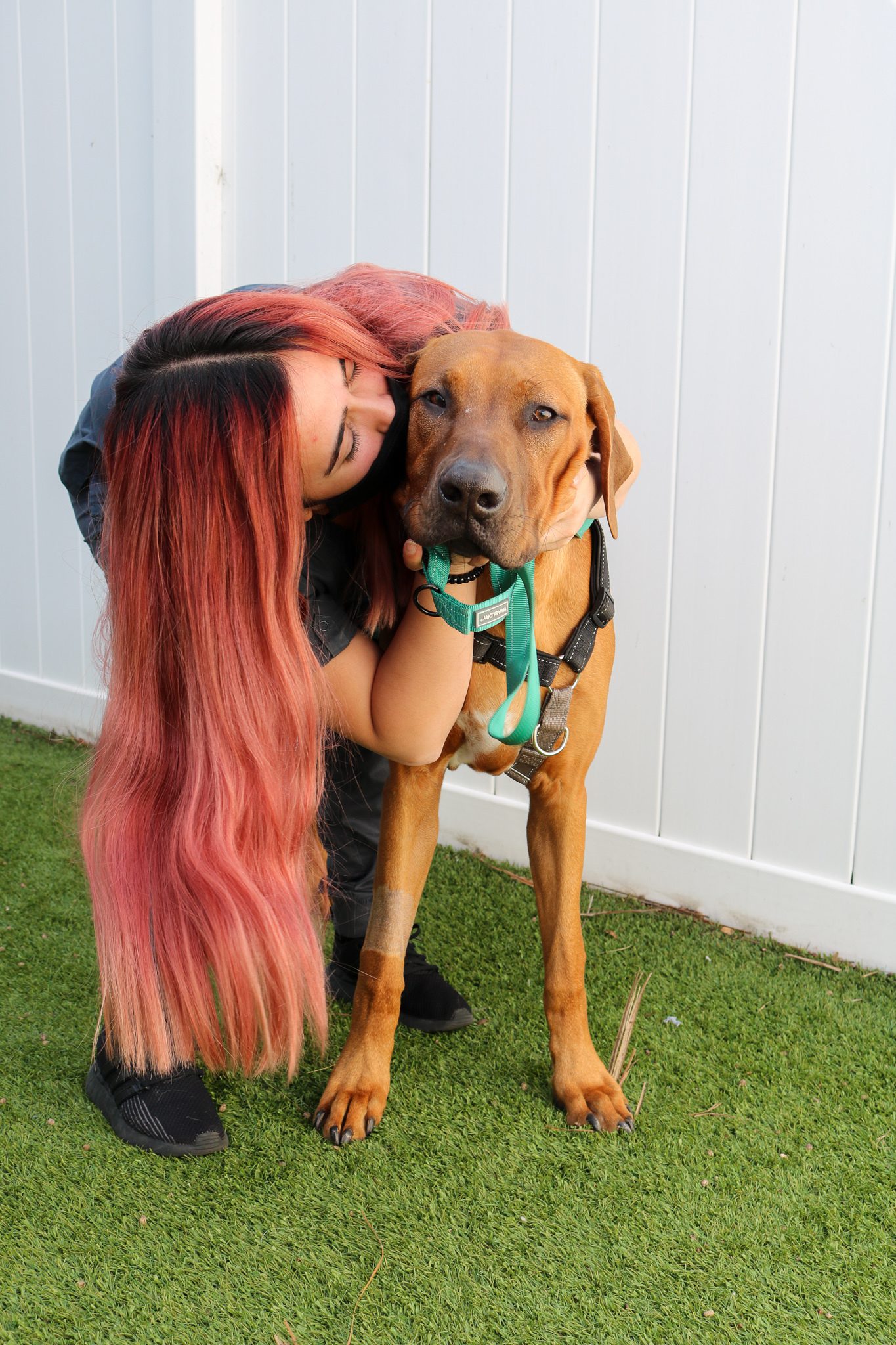 SEVN veterinary technician, Natalie, with patient