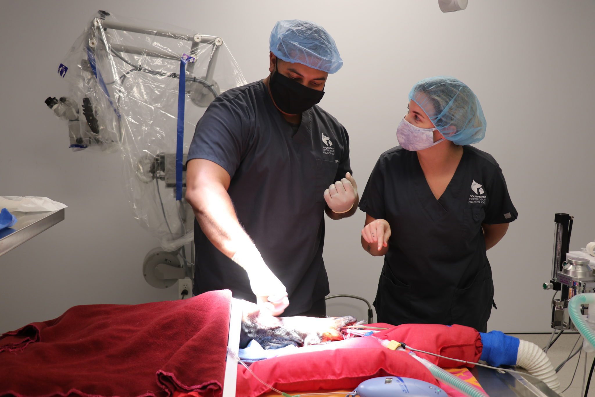 veterinary career options