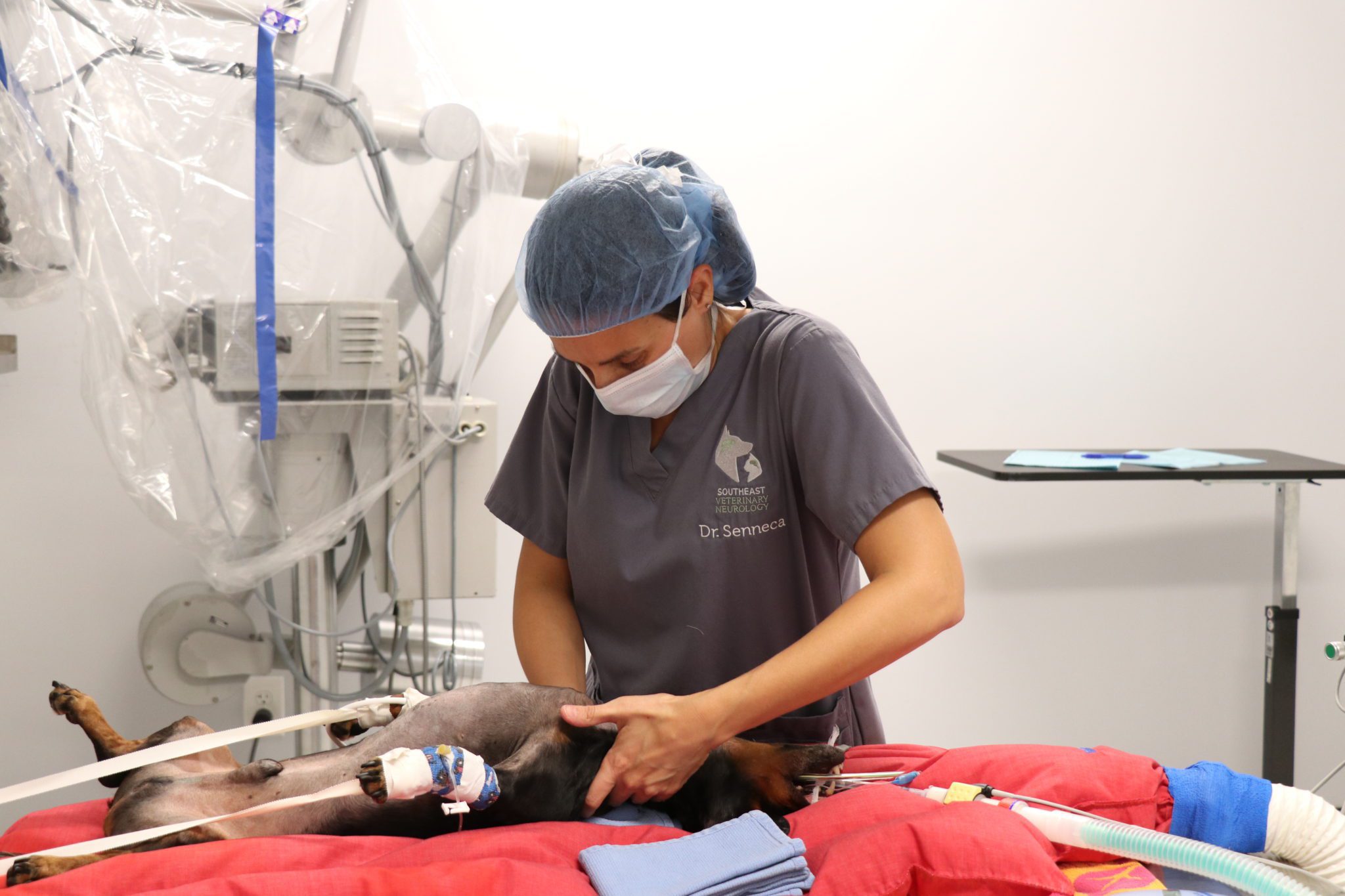 Dr. Senneca at SEVN