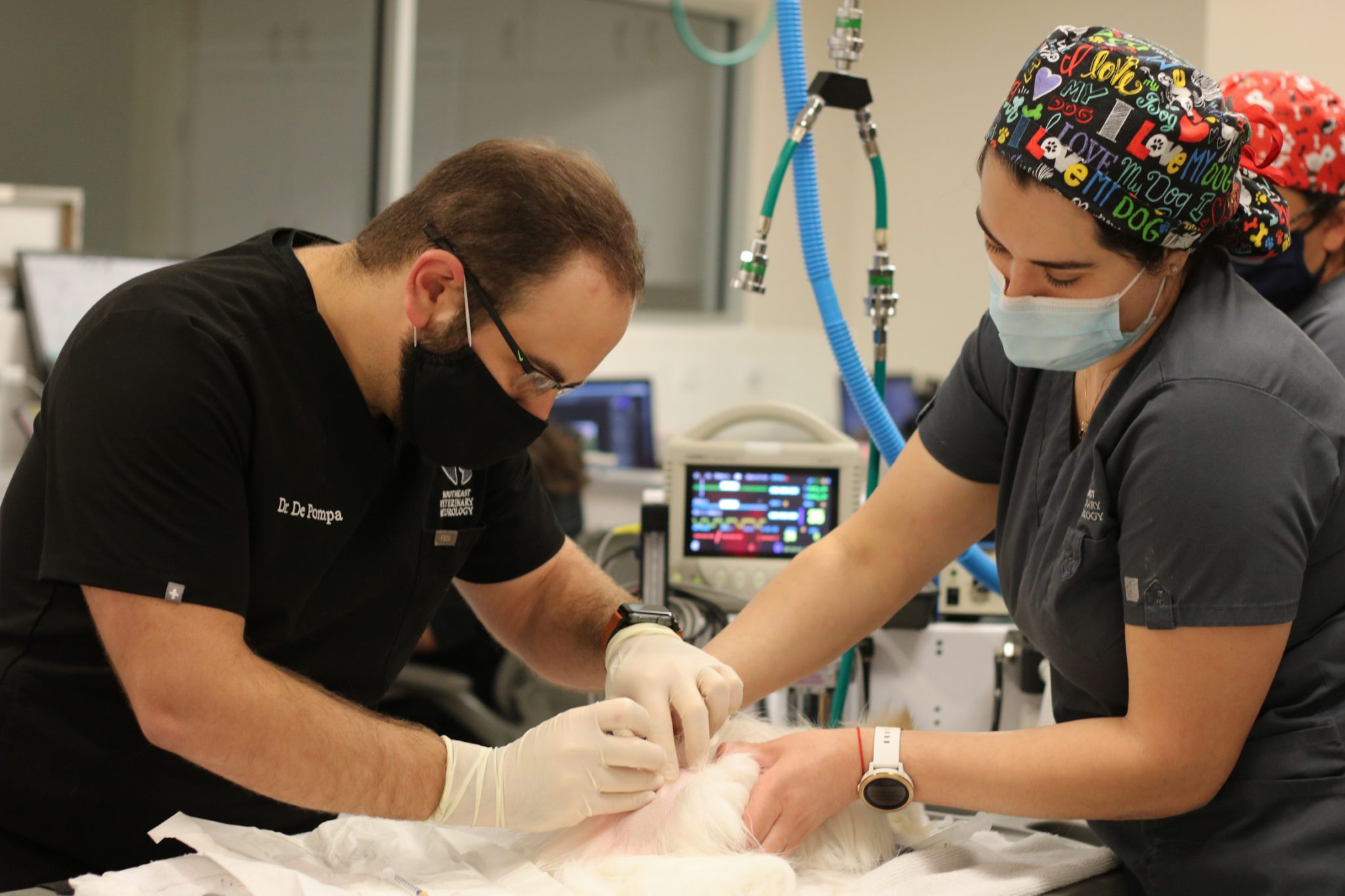 anesthesia 