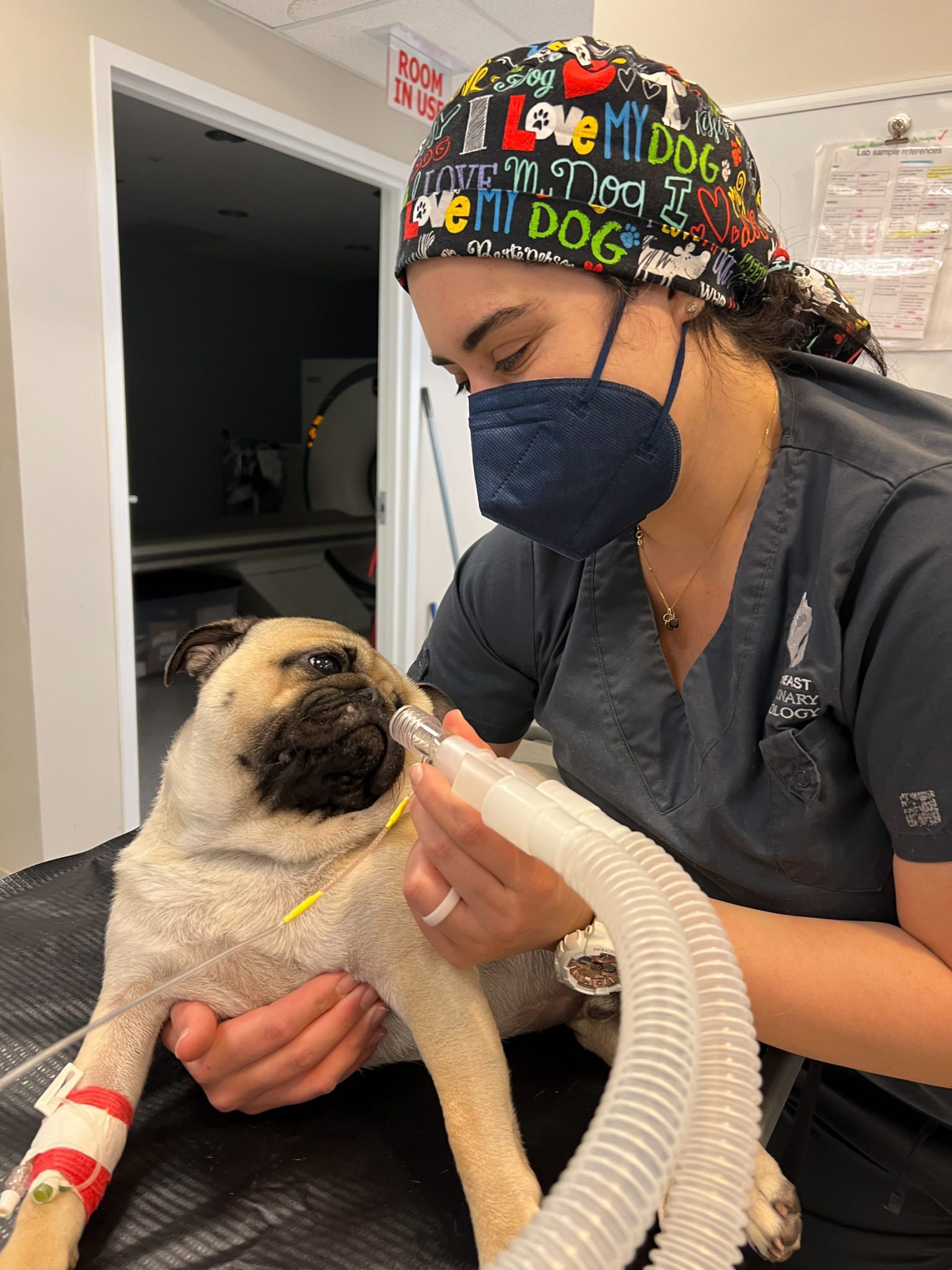 dog receiving oxygen