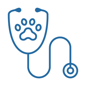 Neurology Residency Icon