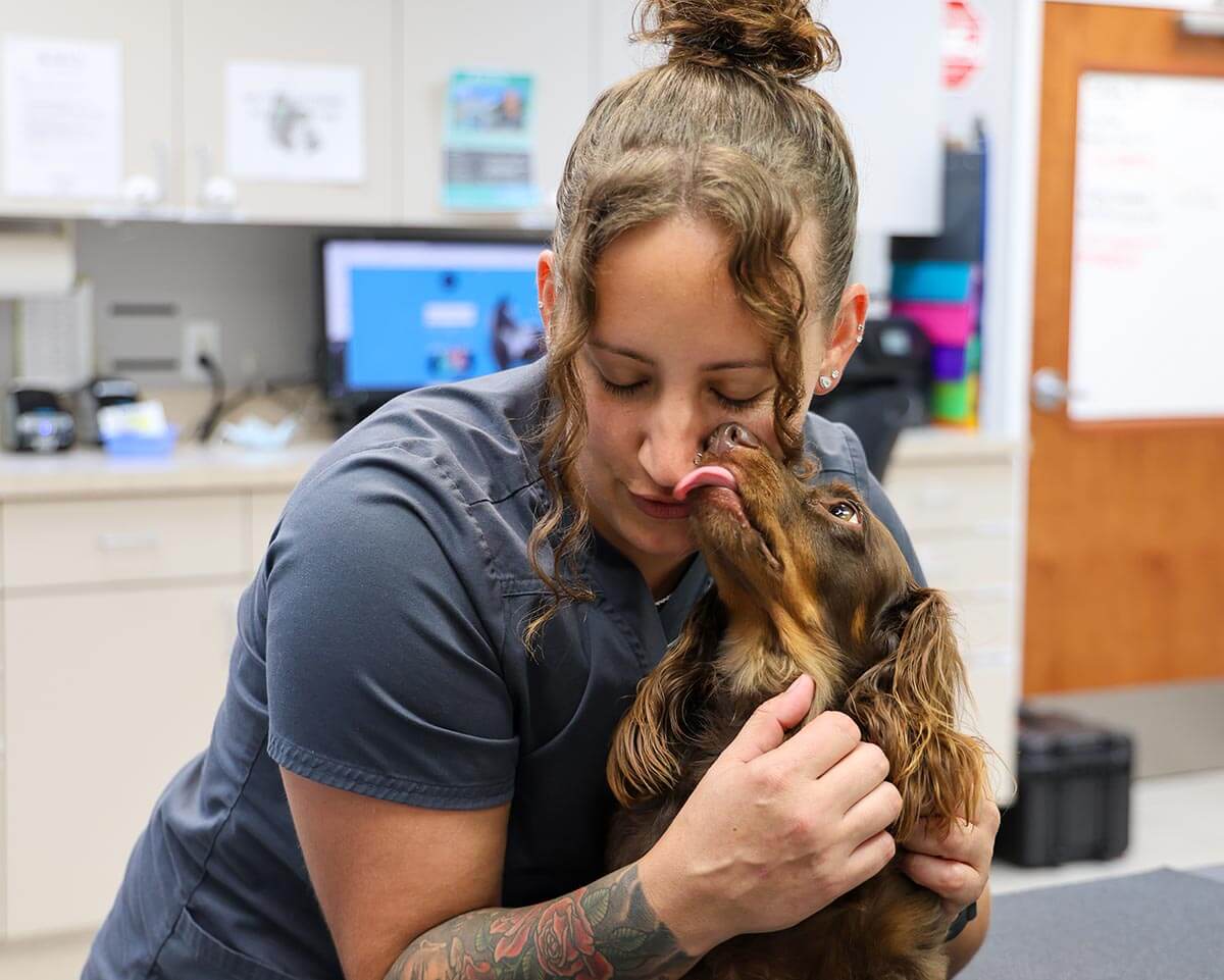 Doggie Kisses Doggie Kisses