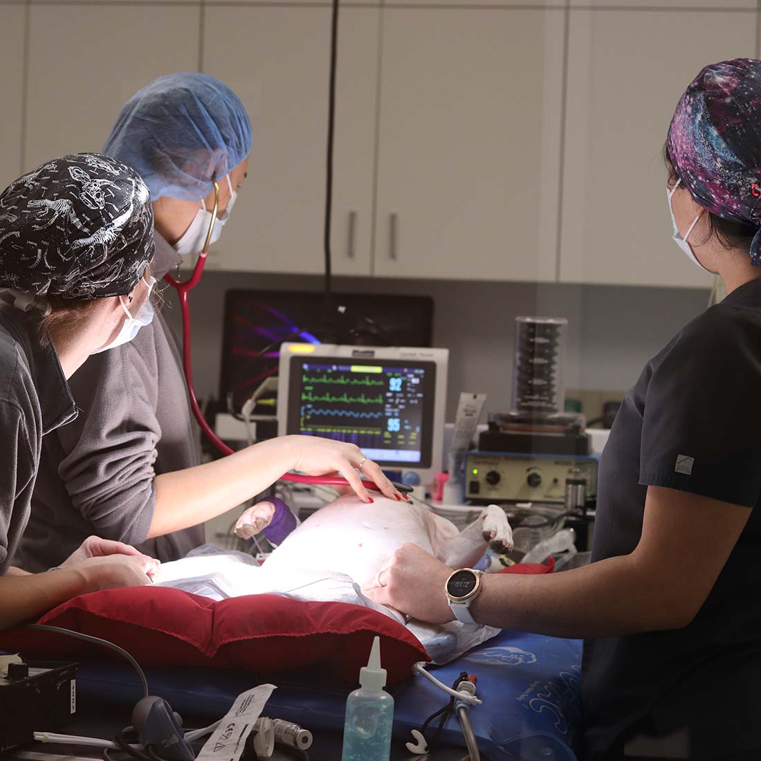 Sevn Residency Neurology Team Surgery