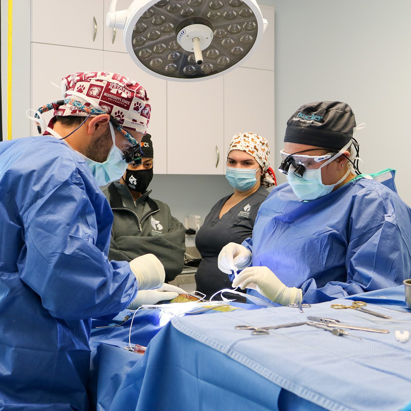 Dr. Kornberg And Dr. Divita In Surgery