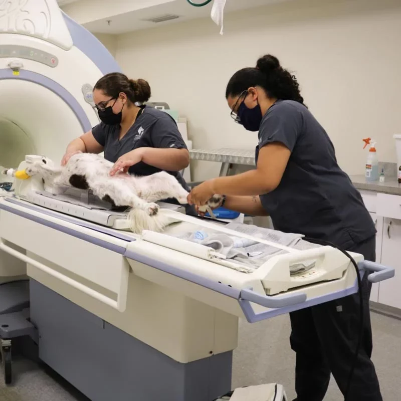 Setting Up Mri Setting Up MRI