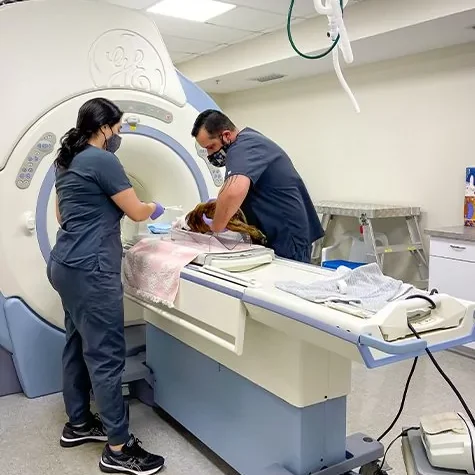 Diagnostics Imaging New Diagnostics Imaging New