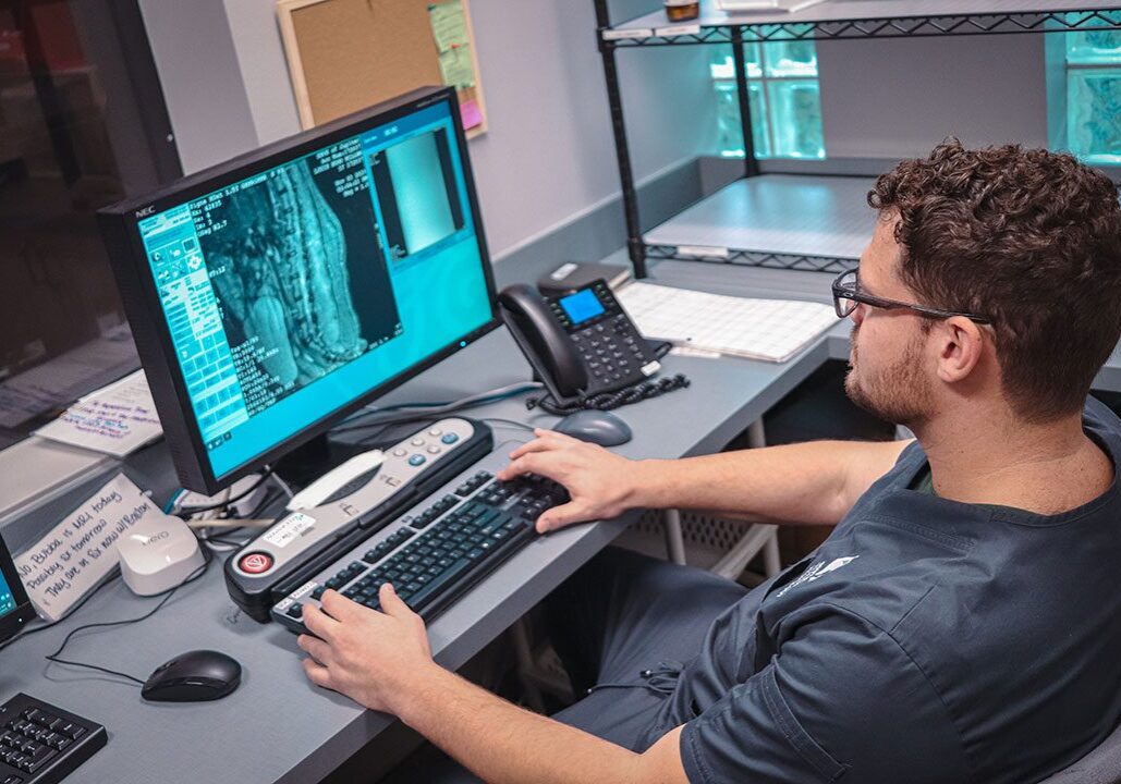Man Looking At MRI Of Pet