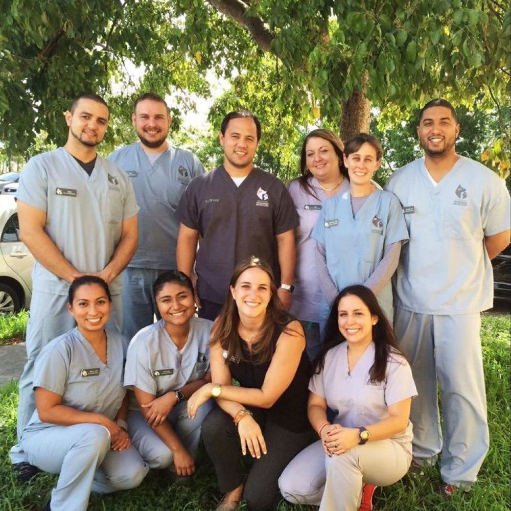 Southeast Veterinary Neurology Origins New