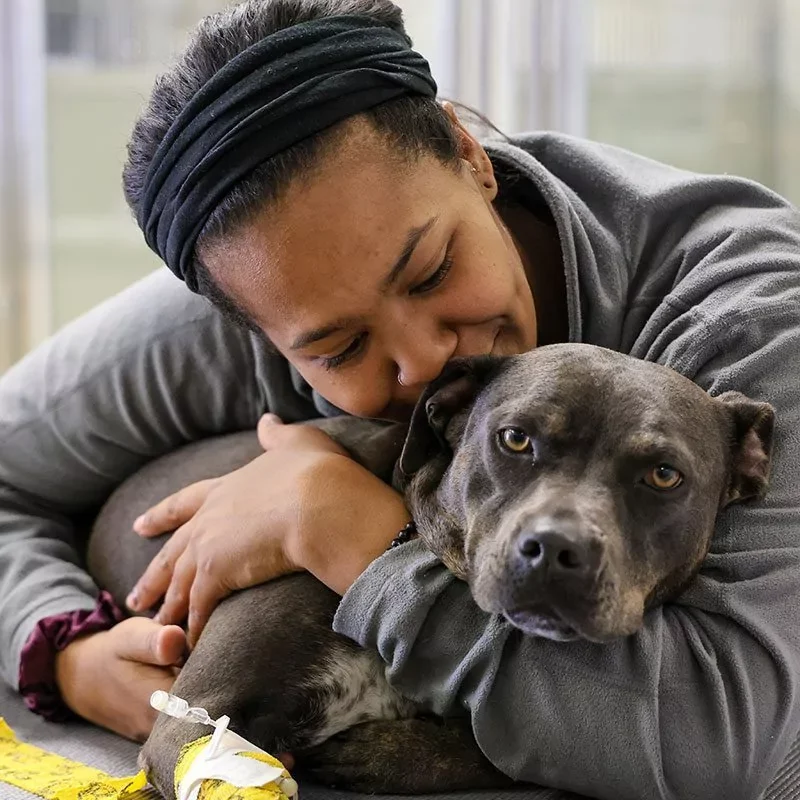 Tech Showing Affection To Dog