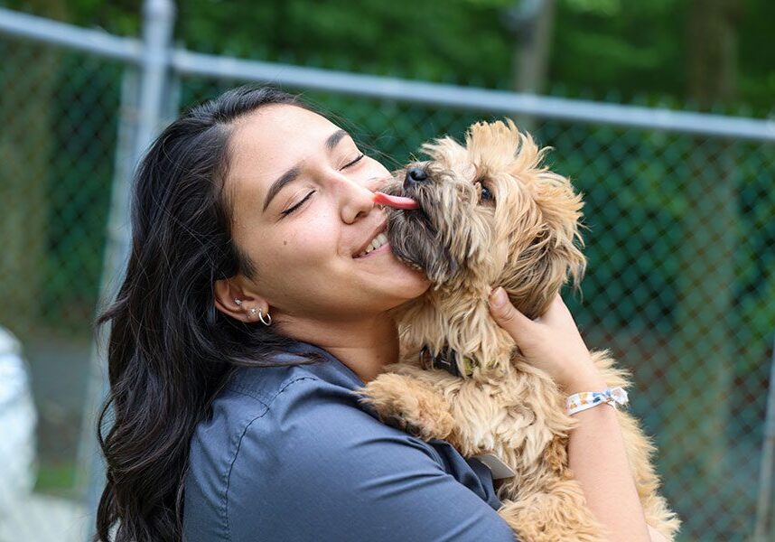 Treating Pets With Compassion