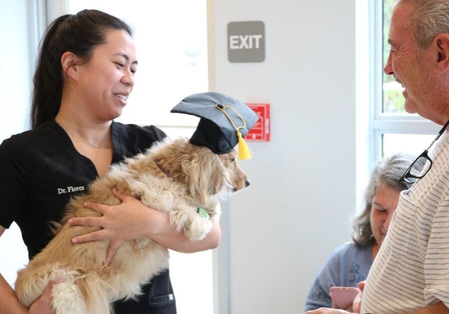 SEVN team member holding dog with graduation hat